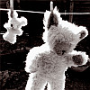 Benutzeravatar